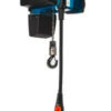 demag dcs pro electric hoist