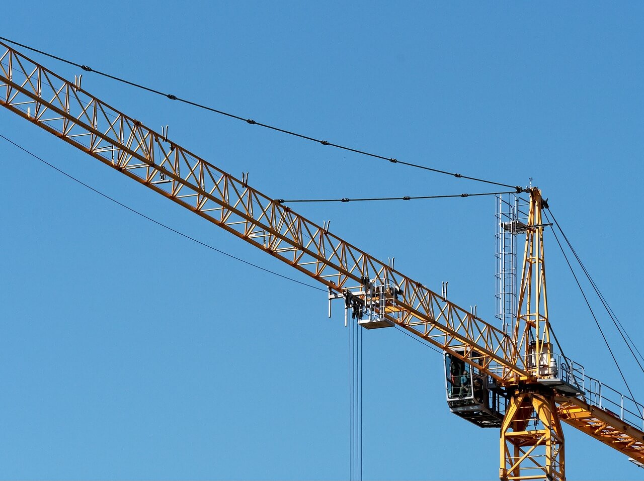 tower crane and hoist system
